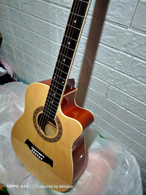 Brand New Arena Guitar