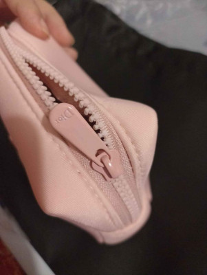 Dior pouch