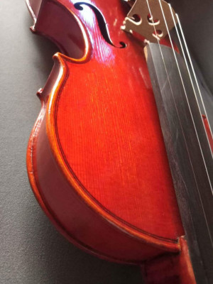 Old Unlabeled Violin