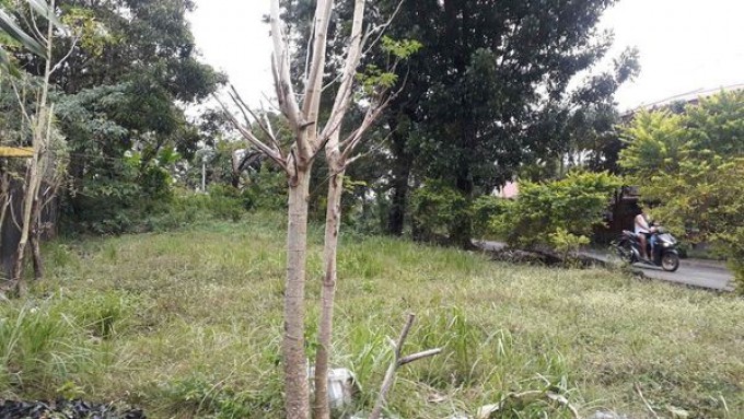 Lot - Antipolo, Rizal