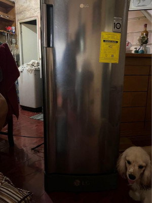 LG Smart Inverter Refrigerator