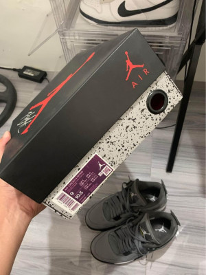 STEAL JORDAN 4 COOLGRAY