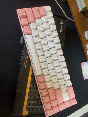 Rakk Diwa Mechanical Keyboard