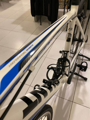 Giant TCR SL