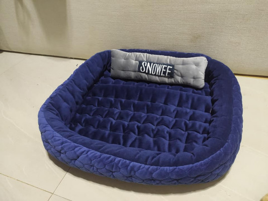 pets bed