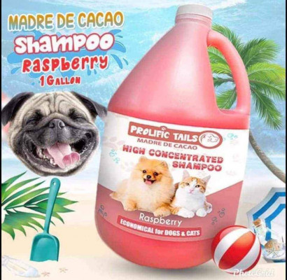 Dogs and Cats Shampoo