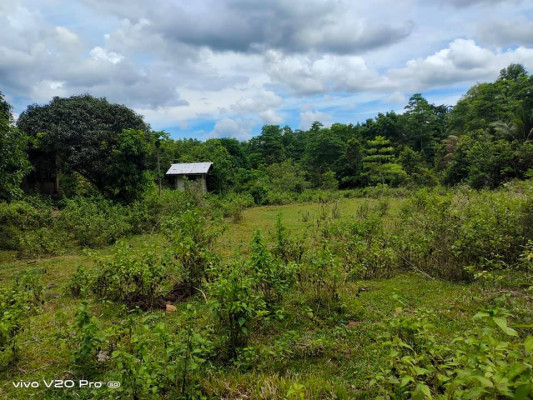 PRIVATE PROPERTY WITH MANGO TREES FOR SALE