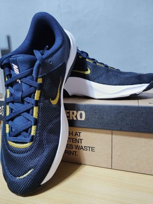 Nike Men's Legend Move to Zero Shoes