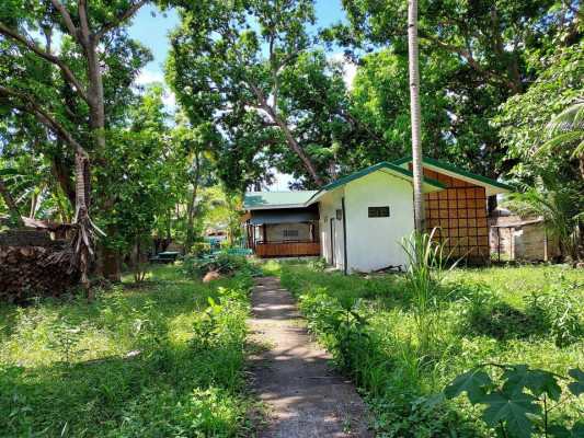 FOR SALE  2,266 sqm lot with ancestral house and rest house