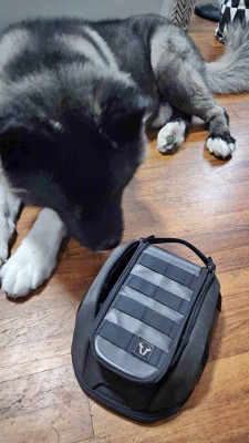 SW Motech magnetic tank bag