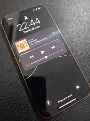 IPHONE 13 PROMAX 128GB GLOBE