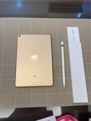 iPad mini (5th Gen) Wifi 64GB