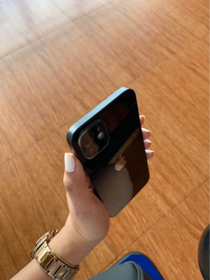 iphone 12 (not mini)