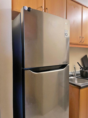The LG GR-B202SQBB 7.2 cu. ft, top mount Smart inverter refrigerator