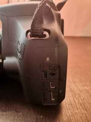 Canon 1200D body + kitlens