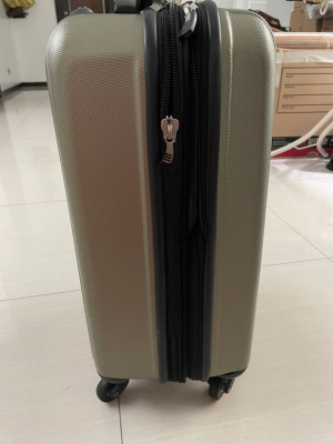 Cabin sized luggage