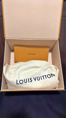 Louis Vuitton Papillon BB