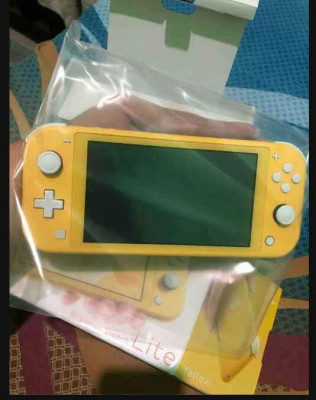 Nintendo Switch lite