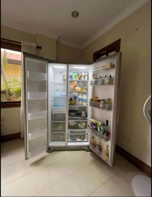 LG 2 door butterfly refrigerator Inverter