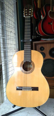 KAWAI ACOUSTIC GUITAR NEW