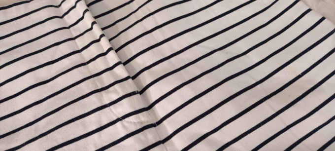 Zara Stripped Shorts