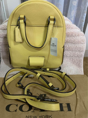 Authentic Coach Small