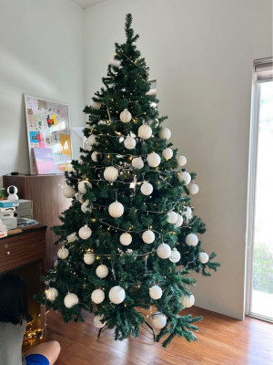 Preloved Christmas Tree 8ft