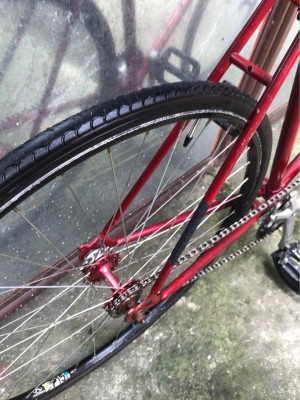 Fixie for sale