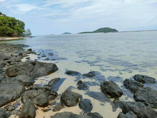 BEACHLOT WITH COCONUT FARM