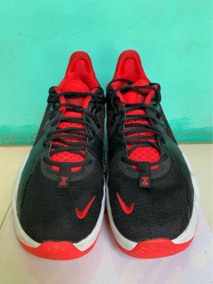 PG5 breds
