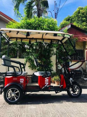 HIPPO 2.0 Tri-wheel E-Bike