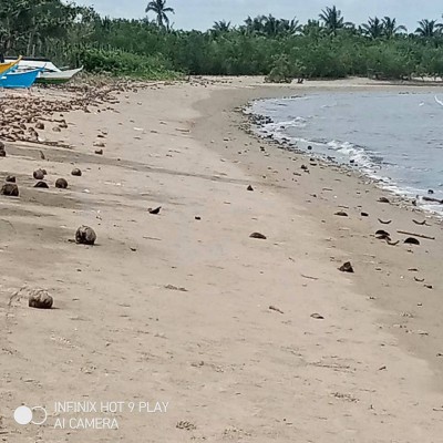 Beach front for sale