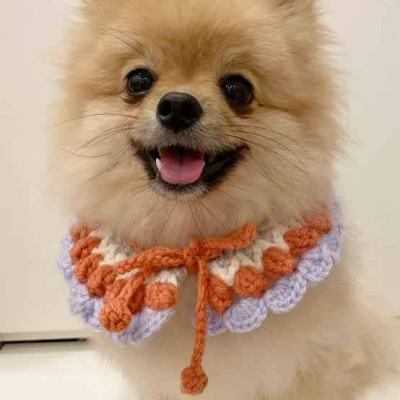 Pet Collar Crochet Dogs and Cats