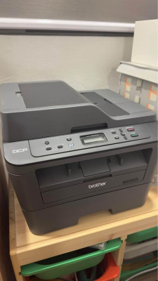 Brother B&W Laser Printer