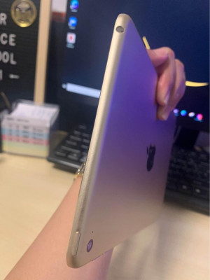 IPad Mini 4 Gold