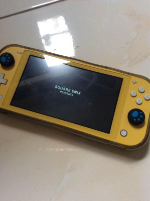 Nintendo switch lite and pouch case