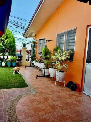 House and Lot in Camella Talisay