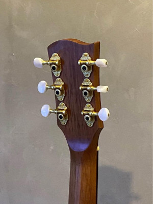 Elegee Acoustic Guitars *Brand New*