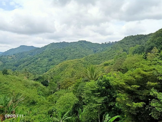 Farm House and Lot for sale