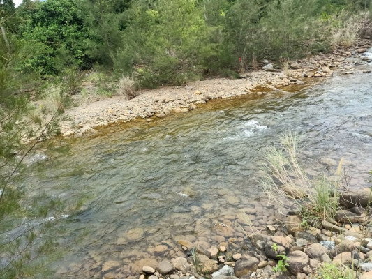 1.3M for 6 hectares Farm Lot with a River