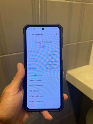 Z Flip 3 256