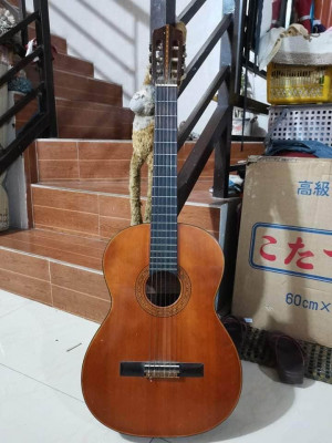 Suzuki Guitar