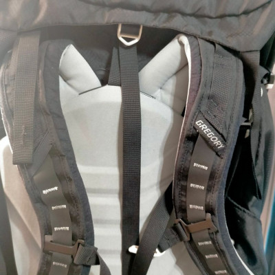 Gregory Mountain Backpack