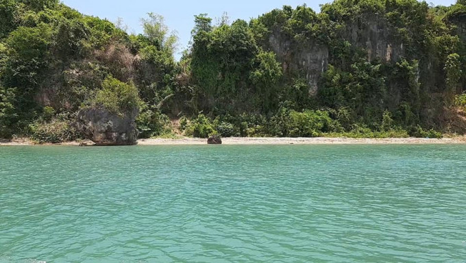 9.8 hectares beach lot for sale in Buenavista Guimaras