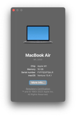 16gb Macbook Air M1
