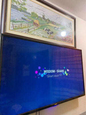 HARI 55 INCHES SMART TV