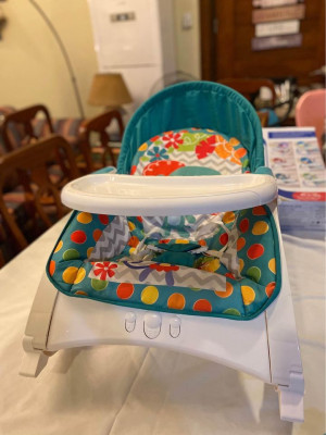 NEW BORN TODDLER ROCKER BABY COMPANY