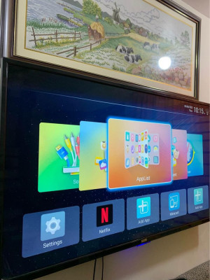 HARI 55 INCHES SMART TV