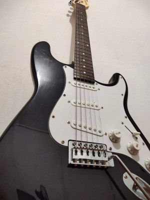 Fernando Electric Guitar