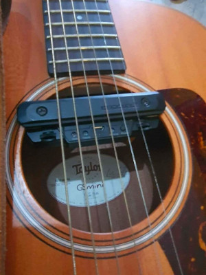 Taylor Guitar